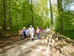 Ostermontagwanderung