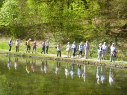 Rundwanderung um Grasellenbach