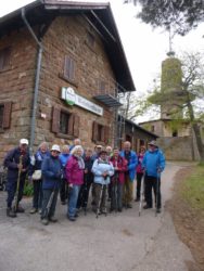 Auf dem Pfälzer Weinsteig von Mußbach nach Neustadt