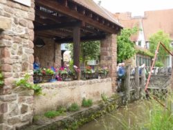 Wanderung von Schriesheim nach Leutershausen