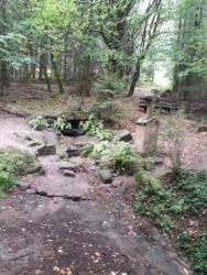 Rundwanderung um Grasellenbach