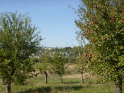 Wanderung rund um Binau